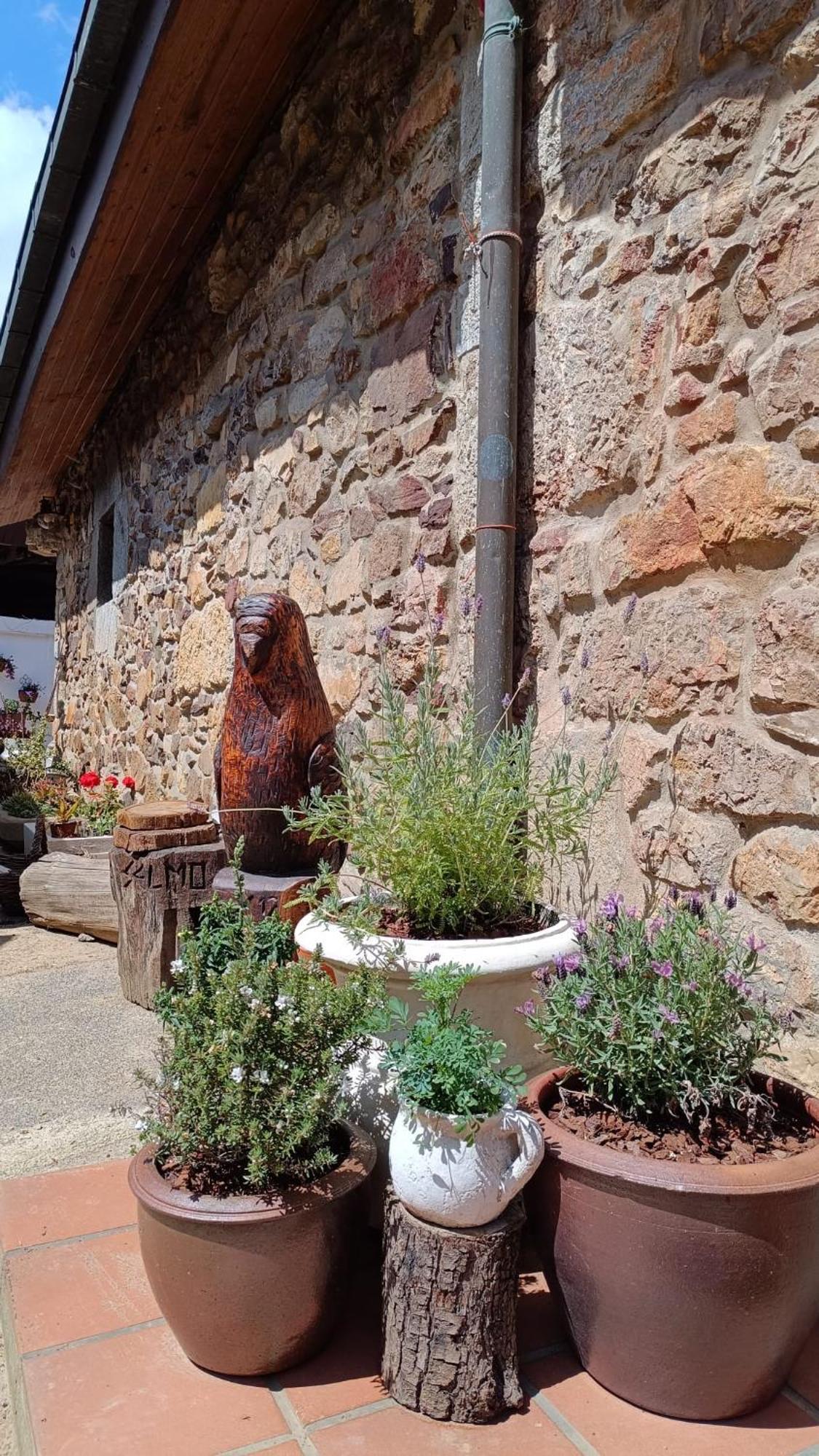 Casa Selmo Bed and breakfast Carreno